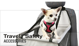 Dog Travel / Safety